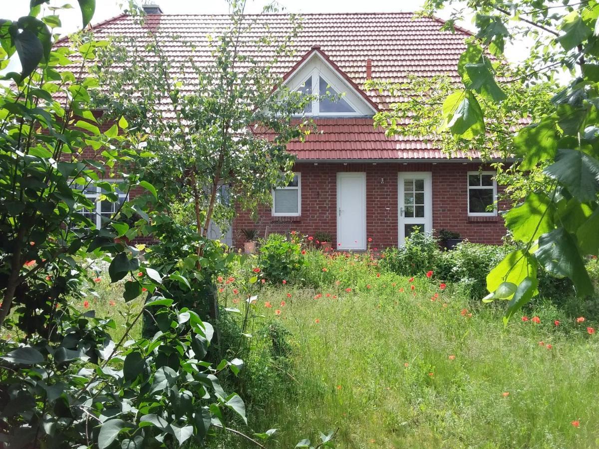 Haus Rosengarten- Ruhige Ferienwohnungen Im Gruenen Sehlen Esterno foto