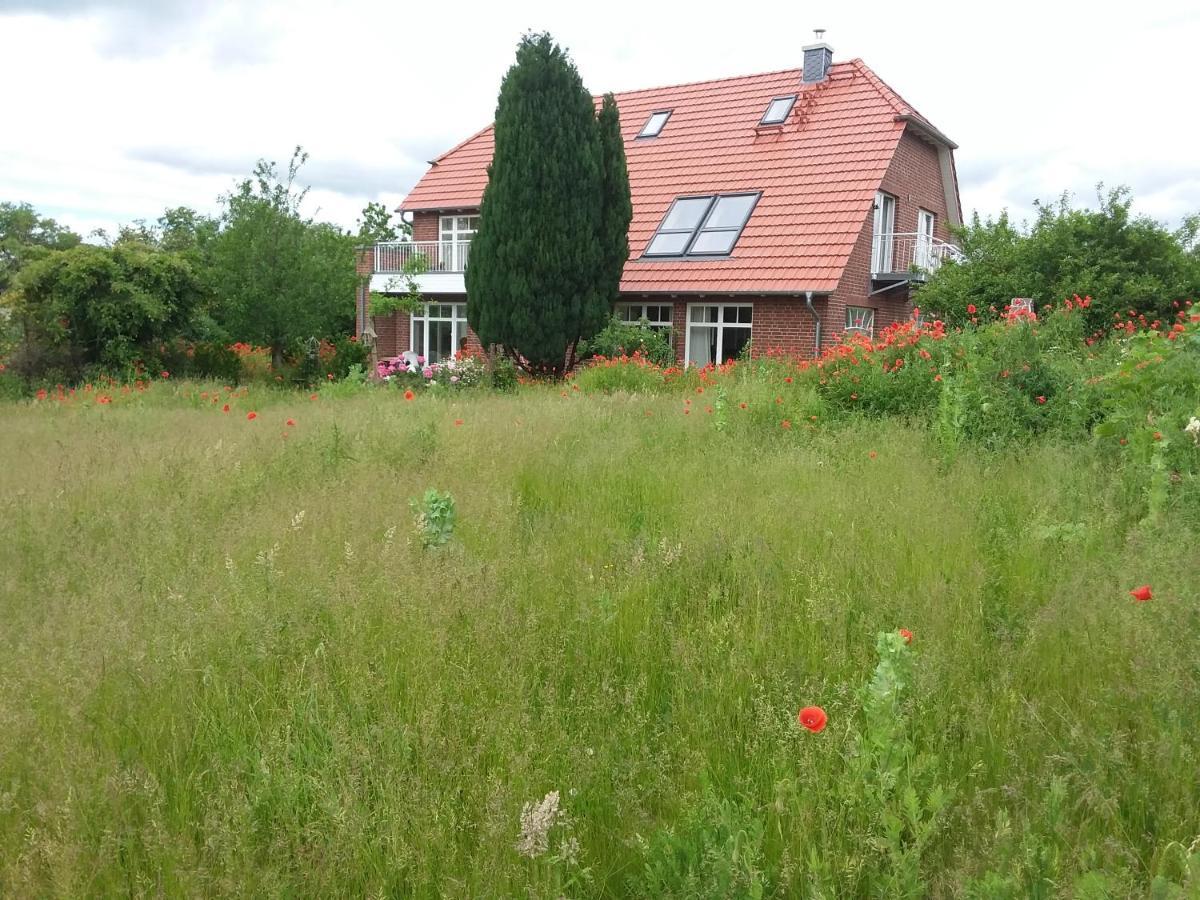 Haus Rosengarten- Ruhige Ferienwohnungen Im Gruenen Sehlen Esterno foto