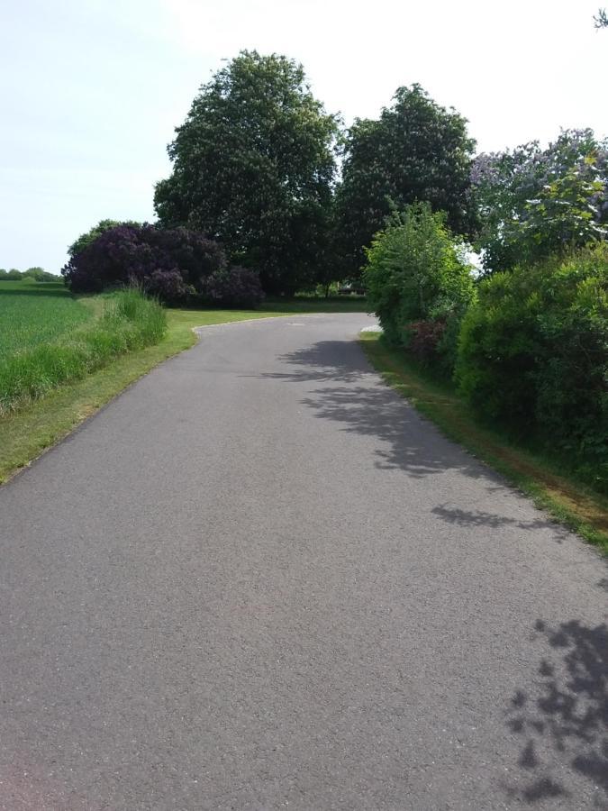 Haus Rosengarten- Ruhige Ferienwohnungen Im Gruenen Sehlen Esterno foto