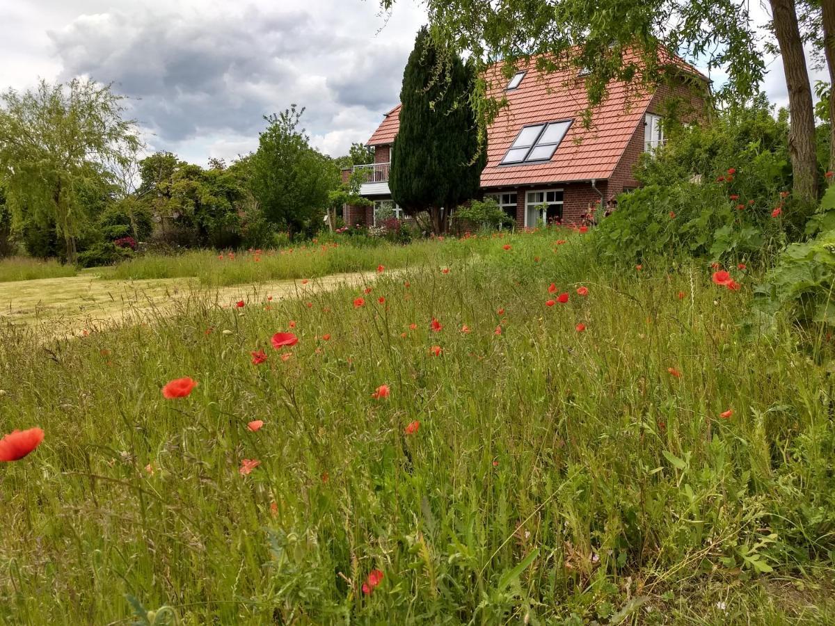 Haus Rosengarten- Ruhige Ferienwohnungen Im Gruenen Sehlen Esterno foto